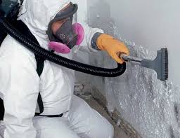 Professional Mold Removal & Remediation in Arlington, OH